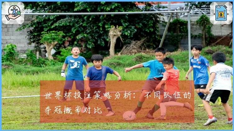 世界杯投注策略分析：不同队伍的夺冠概率对比
