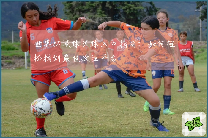 世界杯滚球买球入口指南：如何轻松找到最佳投注平台