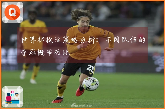 世界杯投注策略分析：不同队伍的夺冠概率对比