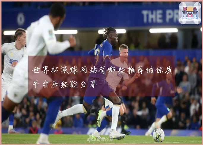 世界杯滚球网站有哪些推荐的优质平台和经验分享