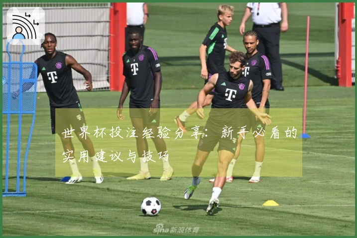 世界杯投注经验分享：新手必看的实用建议与技巧