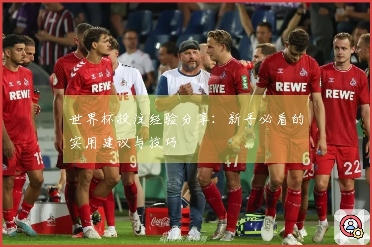 世界杯投注经验分享：新手必看的实用建议与技巧